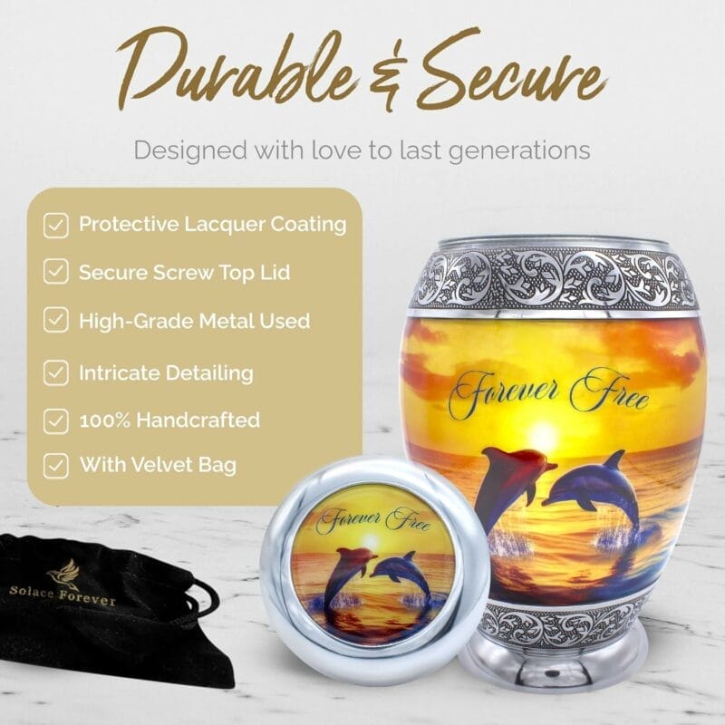 Orange FF - Dolphin Sunset - Adult - Image 2